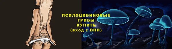 mix Касимов