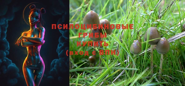 mix Касимов