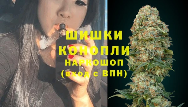 спайс Карпинск