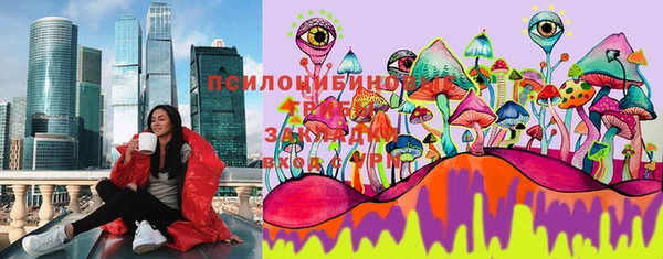 спайс Карпинск