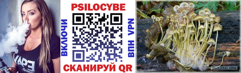 Галлюциногенные грибы MAGIC MUSHROOMS  Купить где  Сибай 
